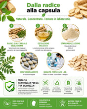 Carica l'immagine nel visualizzatore di Gallery, vit4ever Estratto di Astragalo 1400 mg – 50% Polisaccaridi – 180 Capsule