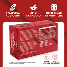 Carica l'immagine nel visualizzatore di Gallery, CISBANI PHARMA Regocistein Plus Vitamina B12, Acido Folico in Forma Attiva