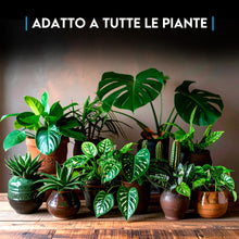 Carica l'immagine nel visualizzatore di Gallery, ZOMA VULC Lapillo vulcanico per piante 3/5 mm, migliora drenaggio e composizione del substrato, Ideale per bonsai, piant