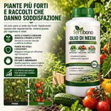 Carica l'immagine nel visualizzatore di Gallery, FERTIBONO Olio di Neem 100% Puro, 500 ml, Spremuto a Freddo | Multiuso per Piante, Orto e Giardino