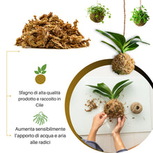 Carica l'immagine nel visualizzatore di Gallery, GebEarth®| Sfagno Cileno in Fibre: Substrato per Orchidee, Bonsai e Carnivore | Perfetto per Kokedama, Verde Verticale, 