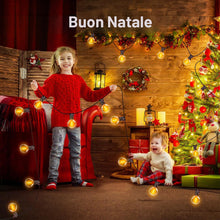 Carica l'immagine nel visualizzatore di Gallery, Catena Luminosa Esterno Luci Giardino - 10M Luci da Esterno Lampadine LED