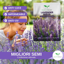 Carica l'immagine nel visualizzatore di Gallery, Magic of Nature: Semi di Lavanda Vera - circa 150 Pz