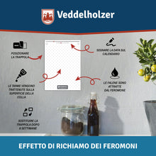 Carica l'immagine nel visualizzatore di Gallery, Veddelholzer 10 trappole per tarme da cibo con feromone, combatte efficacemente le tarme del cibo, monitoraggio delle ta