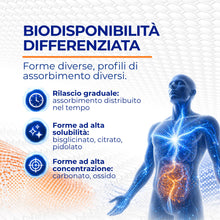Carica l'immagine nel visualizzatore di Gallery, Magnesio Completo 600mg 240 Capsule - Magnesio Complex 5 in 1 per la Normale Funzione Muscolare e alla Riduzione della S