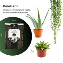 Carica l'immagine nel visualizzatore di Gallery, GebEarth® - Terriccio Professionale per Piante Grasse e Succulente da 1 Litro【 Substrato ideale per Cactacee e altre Pia