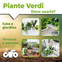 Carica l'immagine nel visualizzatore di Gallery, CIFO - Concime Piante Verdi Liquido, Fertilizzante Casa, Terrazzo e Balcone - Contribuisce alla Crescita e Intensifica l