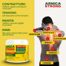 Carica l'immagine nel visualizzatore di Gallery, Arnica Per Cavalli Uso Umano 99% per massaggi professionali