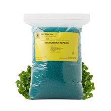 Carica l'immagine nel visualizzatore di Gallery, R&amp;R SHOP - Semi Per Prato, Dichondra Repens, Origine Usa, Resistente E Decorativo (200gr - 20mq)
