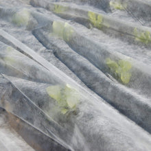 Carica l'immagine nel visualizzatore di Gallery, TENAX Ortoclima Plus 1,60x10 m Bianco, Velo Protettivo Antigelo Invernale per Piante, in TNT Tessuto non 30 g/m, Protegg