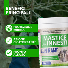 Carica l'immagine nel visualizzatore di Gallery, Mastice Per Innesti E Potature - Con Rame - Antibatterico Pasta Cicatrizzante Curativa Per Ferite Piante Alberi Arbusti 