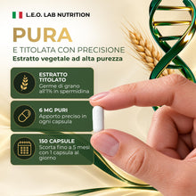 Carica l'immagine nel visualizzatore di Gallery, Spermidina Pura Alto Dosaggio 6mg 150 Cps Vegetali Estratto Germe di Grano