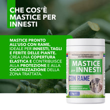 Carica l'immagine nel visualizzatore di Gallery, Mastice Per Innesti E Potature - Con Rame - Antibatterico Pasta Cicatrizzante Curativa Per Ferite Piante Alberi Arbusti 