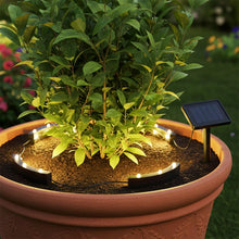 Carica l'immagine nel visualizzatore di Gallery, Spetebo Set di 4 faretti a energia solare a LED per piante in vaso e aiuole – faretto a energia solare per piante e pian