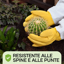 Carica l'immagine nel visualizzatore di Gallery, Praknu Guanti da Giardinaggio Antispine Taglia L – per Raccolta Castagne