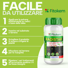 Carica l'immagine nel visualizzatore di Gallery, FITOKEM Radistar - Effetto Ormone Radicante per Talee in Polvere (100 gr) Radicante per Piante, Limone, Orchidee, Micorr