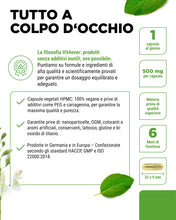 Carica l'immagine nel visualizzatore di Gallery, vit4ever Quercetina 500 mg - 180 Capsule - Confezione per 6 mesi