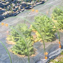Carica l'immagine nel visualizzatore di Gallery, QWORK® 2 x 10 m Telo in Polietilene Impermeabile, Pellicola per Serra, Telo Plastica Trasparente, per Giardini, Edifici