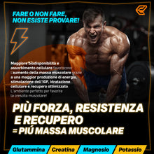 Carica l'immagine nel visualizzatore di Gallery, Italian Elite® Creatine Extreme – Creatina Monoidrata Micronizzata, 120 Compresse, Integratore per Sport e Palestra con 