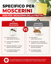 Carica l'immagine nel visualizzatore di Gallery, PIC Trappola Moscerini - 10x Trappola per Moscerini in Casa, acchiappa cimici efficace contro i moscerini piante, Carta 