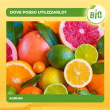 Carica l'immagine nel visualizzatore di Gallery, Solabiol Concime Liquido Biologico per Agrumi e Piante Mediterranee con Tecnologia Natural Booster che Stimola lo Svilup