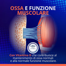 Carica l'immagine nel visualizzatore di Gallery, Glucosamina Condroitina MSM 1450mg 180 Compresse