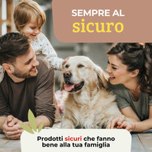Carica l'immagine nel visualizzatore di Gallery, Albagarden - Insetticida Gel Formiche - Esca formiche ad Azione Ritardata Per Eliminare La Colonia - Veleno Pronto All'u