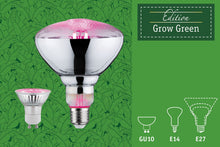 Carica l'immagine nel visualizzatore di Gallery, Paulmann Edition Grow Green LED con filamento e riflettore E27 R80 6,5 W 1300 K