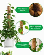 Carica l'immagine nel visualizzatore di Gallery, 4 Pezzi Asta Muschio Monstera 40 cm - Supporto per Piante in Fibra di Cocco per Monstera, Piante Espandibili e Rampicant