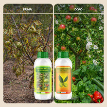 Carica l'immagine nel visualizzatore di Gallery, Argan Italia - Olio di Neem e Sapone Molle Potassico per Piante 1+1 Litri, Olio di Neem Solubile Agisce Naturalmente Con
