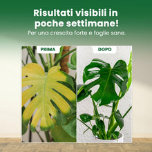 Carica l'immagine nel visualizzatore di Gallery, LERAVA Fertilizzante piante verdi al coperto (800 g) - Fertilizzante biologico con ferro e manganese per fogliame vigoro