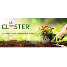 Carica l'immagine nel visualizzatore di Gallery, CLOSTER Microelementi 250 ML - Concime Liquido Universale e Fertilizzante Piante - rimedio naturale contro le Carenze di