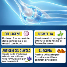 Carica l'immagine nel visualizzatore di Gallery, Italian Elite® Flex Articolazioni, Ossa e Cartilagini. Integratore con Glucosamina, Condroitina, MSM, Collagene, Acido I
