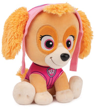 Carica l'immagine nel visualizzatore di Gallery, Paw Patrol - Peluche Skye - 23 CM