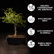 Carica l'immagine nel visualizzatore di Gallery, ZOMA Garden Pomice per Piante, Ideale per Piante Grasse Vere, Bonsai e Orchidee Pietra Inerte per Tutti i Substrati, Alt