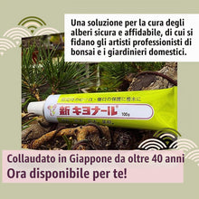 Carica l'immagine nel visualizzatore di Gallery, Mastice, Pasta Cicatrizzante per Bonsai, 100 Gr
