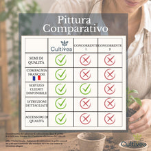Carica l'immagine nel visualizzatore di Gallery, CULTIVEA® Set Erbe Aromatiche da Coltivare – Semi Basilico, Prezzemolo ed Erba Cipollina – Kit Aromatica con 3 Vasetti i