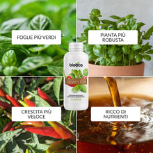 Carica l'immagine nel visualizzatore di Gallery, BIOTICA Concime Liquido per Peperoncino e Piante Aromatiche 1L