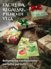 Carica l'immagine nel visualizzatore di Gallery, HERBAL AGE Semi Piante Aromatiche Kit Giardinaggio, 12 Erbe Aromatiche Kit Semi Orto, 8700 semi, Lattuga, Prezzemolo, An