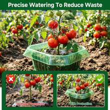 Carica l'immagine nel visualizzatore di Gallery, 15 Pezzo Collare per lumache, Confezione da Protettivi Riutilizzabili in Plastica per Lattuga, Cavolo e Pomodori, Barrie