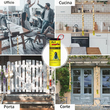 Carica l'immagine nel visualizzatore di Gallery, Carta moschicida adesiva, per uso interno o serra, confezione da 16
