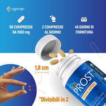Carica l'immagine nel visualizzatore di Gallery, Serenoa Repens (Saw Palmetto) 400 mg – Integratore Alimentare Uomo