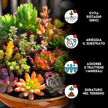 Carica l'immagine nel visualizzatore di Gallery, ZOMA VULC Lapillo vulcanico per piante 3/5 mm, migliora drenaggio e composizione del substrato, Ideale per bonsai, piant