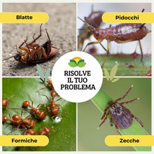 Carica l'immagine nel visualizzatore di Gallery, Albagarden - Veleno per Formiche per Orto, Insetticida Giardino e Prato - Anti Formiche Scarafaggi Grillotalpa Pulci Zec