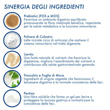 Carica l'immagine nel visualizzatore di Gallery, DRN Enteromicro Complex Fermenti Lattici Probiotici Cani Gatti 32 Compresse