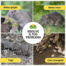 Carica l'immagine nel visualizzatore di Gallery, Albagarden – Colla per Topi Extra Forte, Atossica e Inodore - Colla topicida per Trappola Adesiva per Roditori, Scarafag