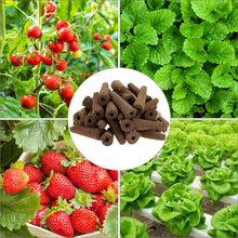 Carica l'immagine nel visualizzatore di Gallery, QWORK® 125 Pezzi coltivazione idroponica con 50 spugne di ricambio, accessori per giardino idroponico, per erbe aromatic
