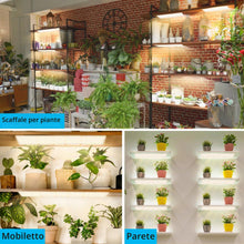 Carica l'immagine nel visualizzatore di Gallery, FIVAVA LED Luce per Piante da Interno Spettro Completo, 135 LEDs x 4pcs Lampada per Piante, Grow Light Ldeale per Piante