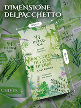 Carica l'immagine nel visualizzatore di Gallery, HERBAL AGE Semi Piante Aromatiche Kit Giardinaggio, 12 Erbe Aromatiche Kit Semi Orto, 8700 semi, Lattuga, Prezzemolo, An