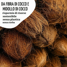 Carica l'immagine nel visualizzatore di Gallery, Pastiglie di Cocco, 50 Pezzi - Terriccio di Cocco Senza Torba, Ideale per la Coltivazione di talee e per Un Facile radic
